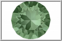 Chaton 1088 SWAROVSKI�, 8mm, 360 - erinite, foiled, 6 Stk.